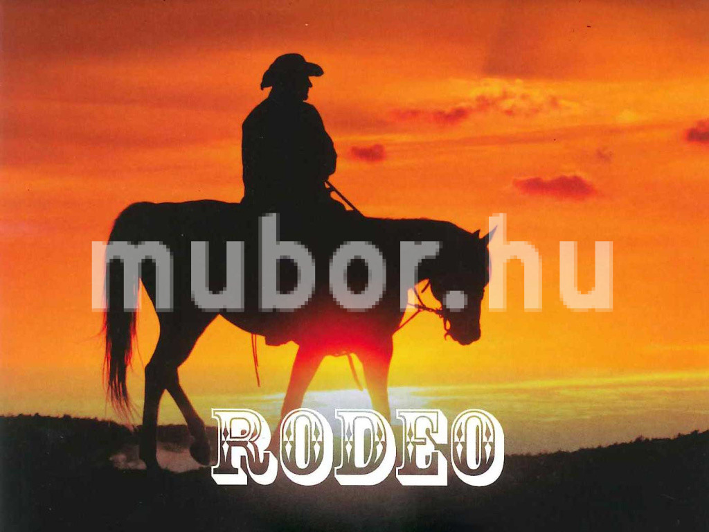 rodeo textilbőr lovas naplemente